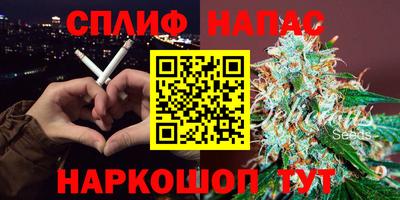 Альфа ПВП Краснознаменск